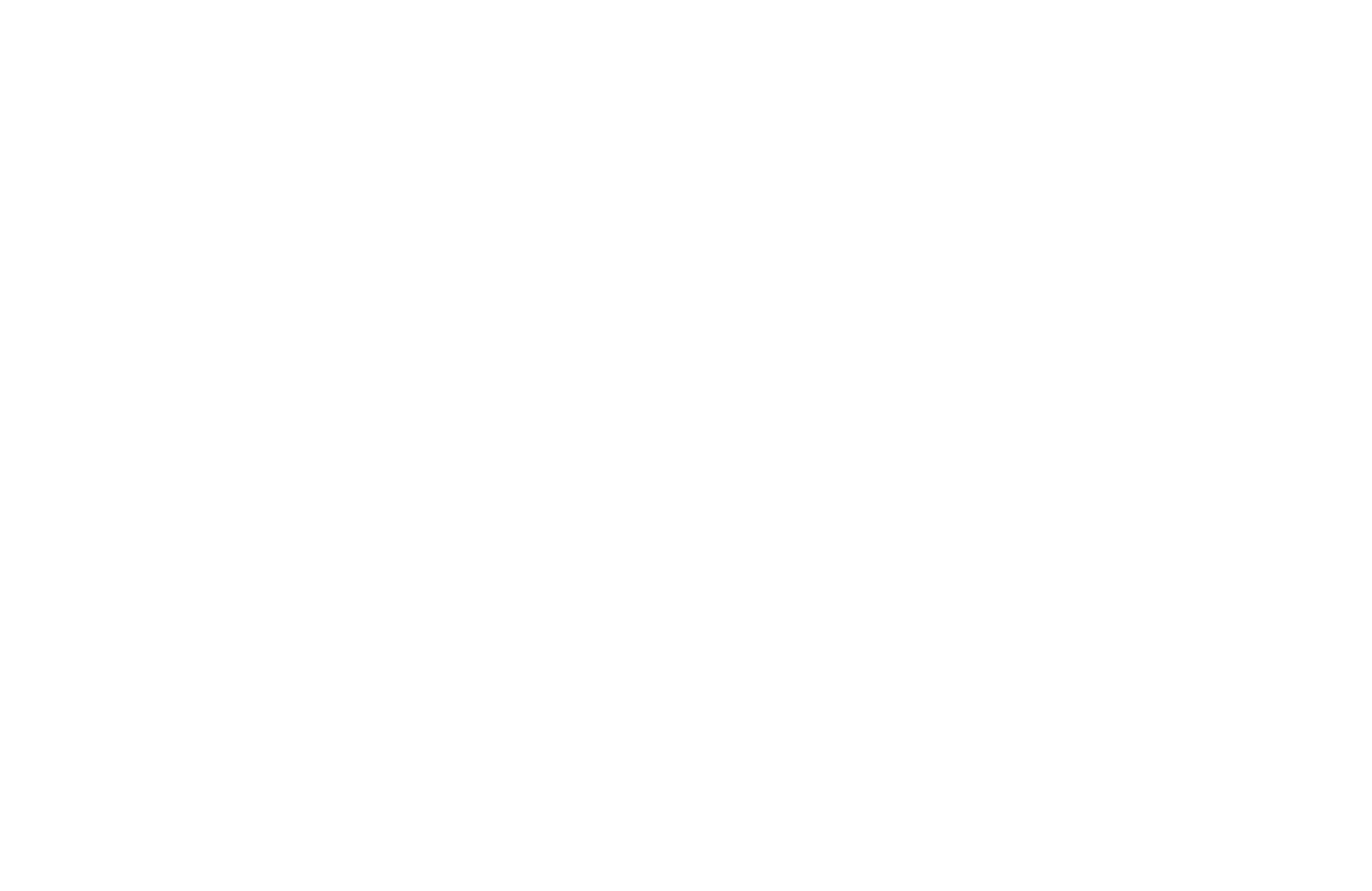 swiss-e1677933146725